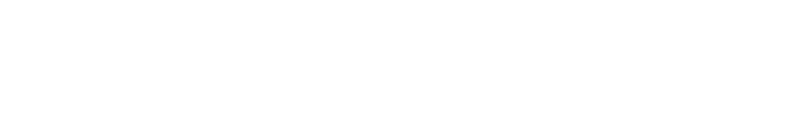logo light